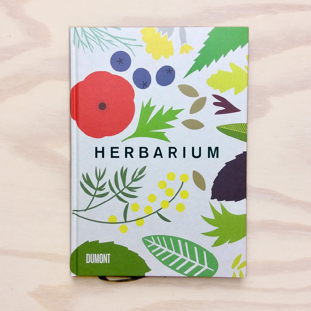 Herbarium - 100 Kräuter – Geschichte, Wirkung, Verwendung