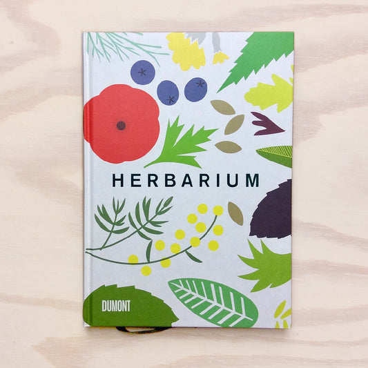 Herbarium - 100 Kräuter – Geschichte, Wirkung, Verwendung