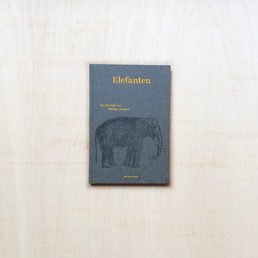 Elefanten - Ein Portrait