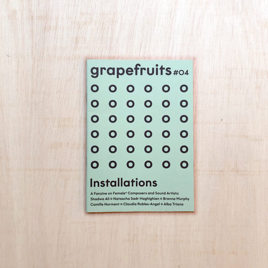 grapefruits fanzine, issue #04: installations