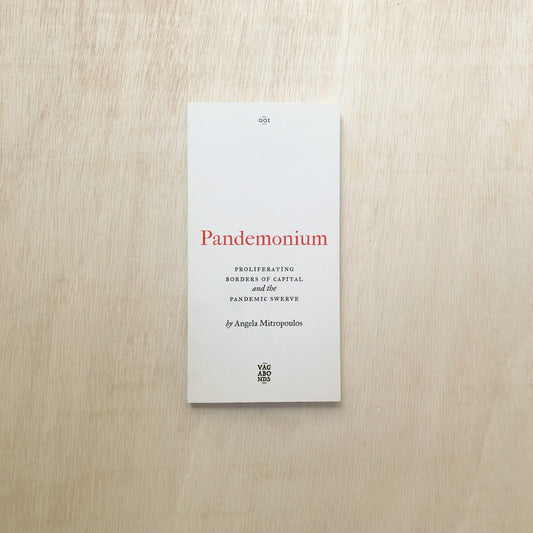 Pandemonium - Proliferating Borders of Capital and the Pandemic