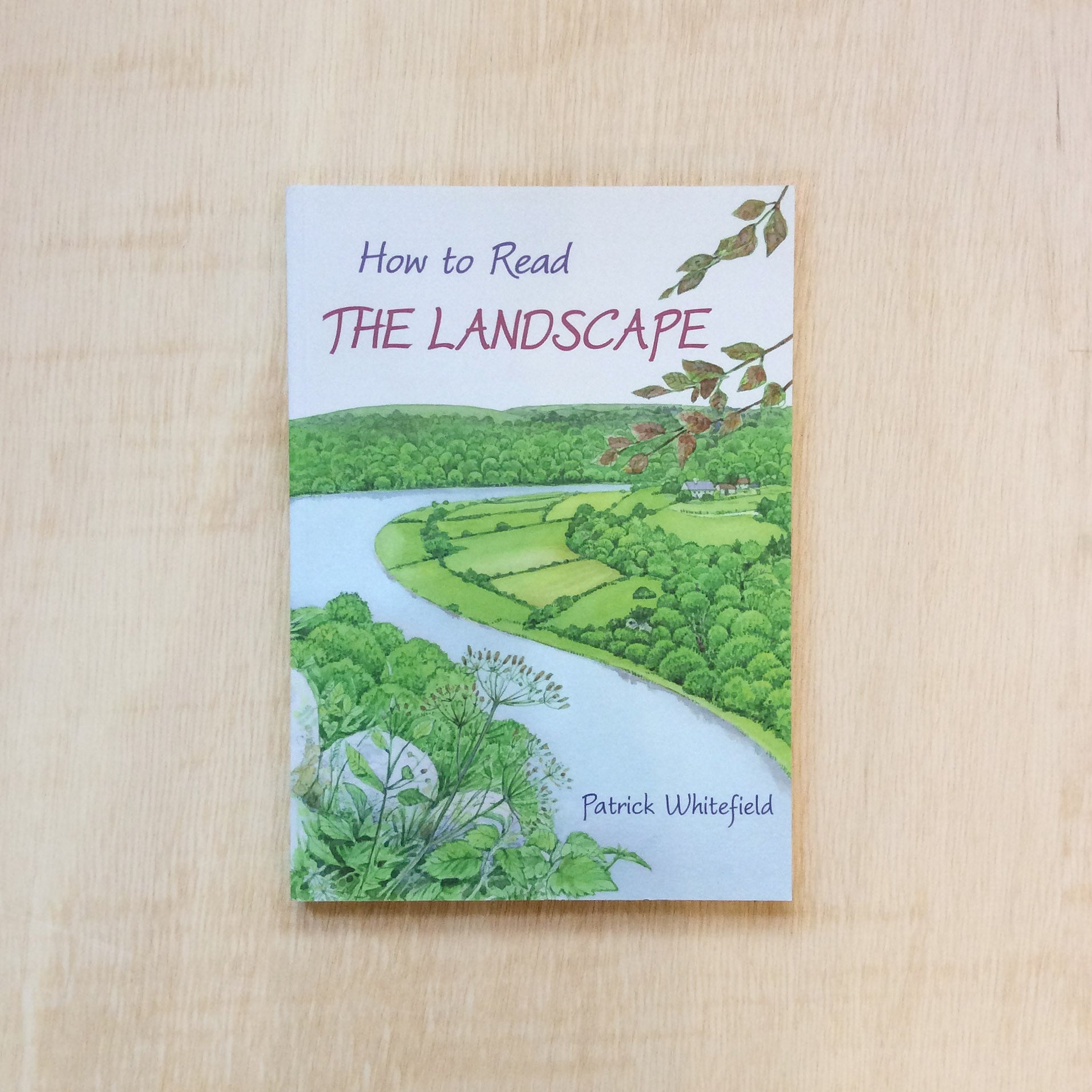 Reading Landscape How to read the Landscape – Zabriskie Buchladen für Kultur und Natur
