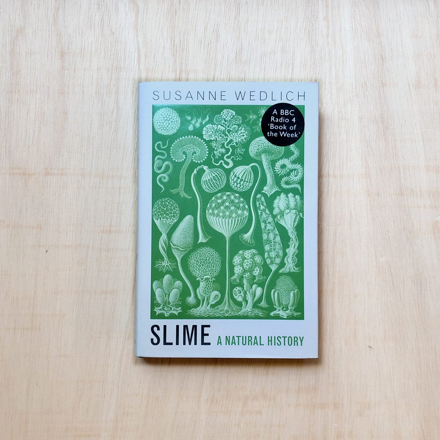 Slime - A Natural History
